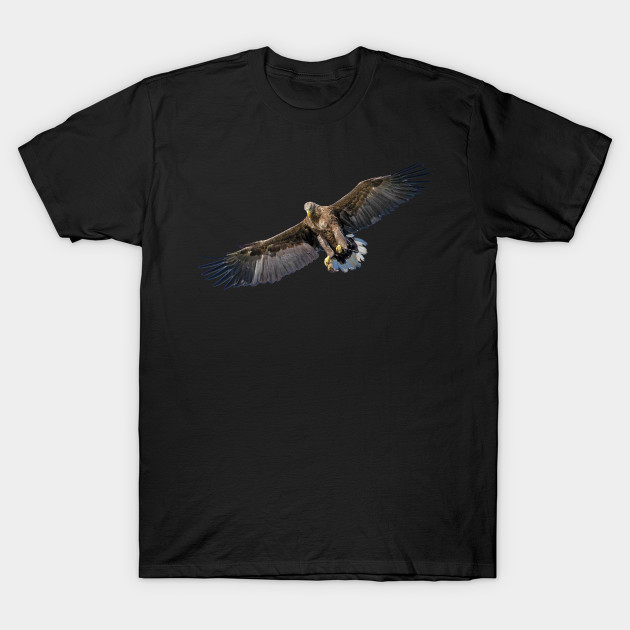 Eagle Hunt
